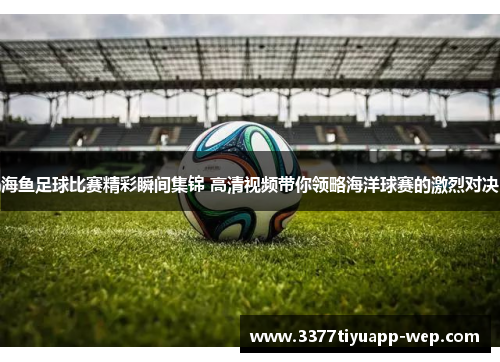 海鱼足球比赛精彩瞬间集锦 高清视频带你领略海洋球赛的激烈对决