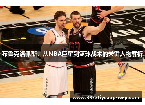 布鲁克洛佩斯：从NBA巨星到篮球战术的关键人物解析